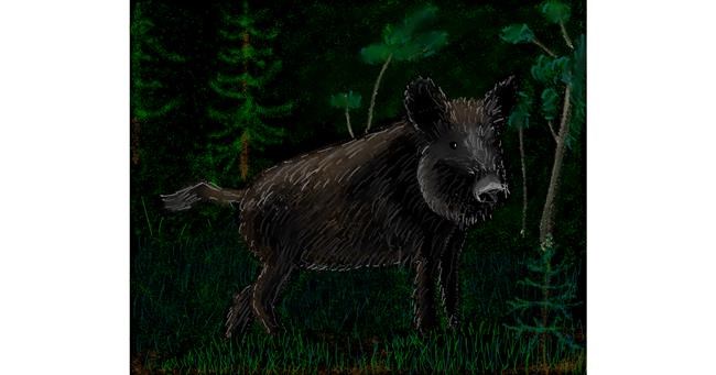 Drawing of Wild boar by Sofie