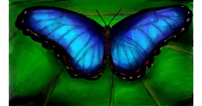 Leptir - autor: Mia