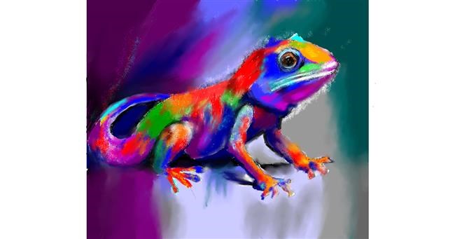 Drawing of Lizard by Yasi