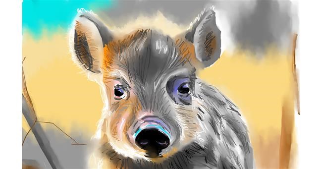Vepar - autor: Herbert