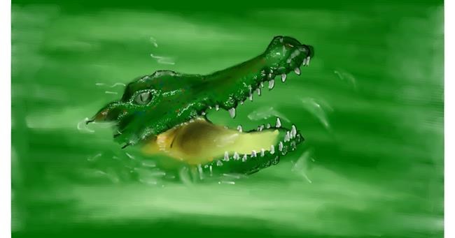 Aligator - autor: Unknown