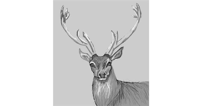 Drawing of Reindeer by Rak