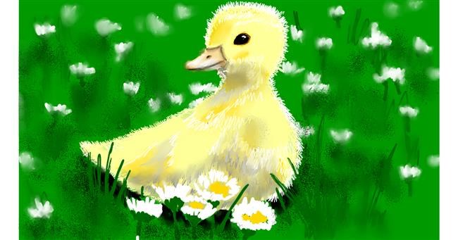 Drawing of Duck by SAM AKA MARGARET 🙄