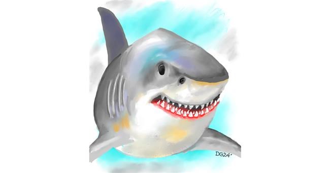 Drawing of Shark by GreyhoundMama