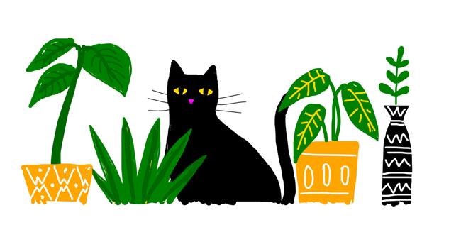 Drawing of Cat by alison