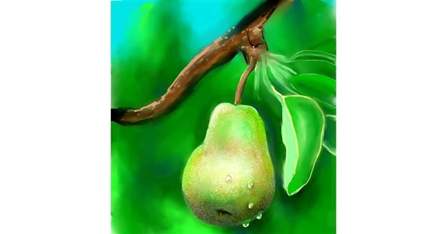 Drawing of Pear by Яandi