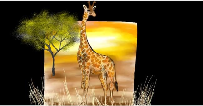 Drawing of Giraffe by Eclat de Lune