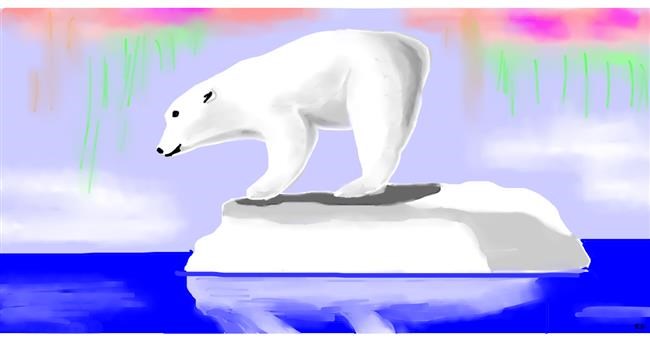 Polarni medvjed - autor: Swimmer 