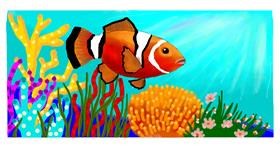 Drawing of Clownfish by DebbyLee