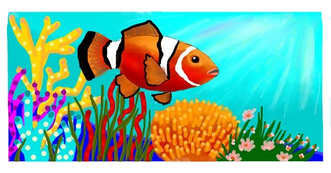 Clownfish - autor: DebbyLee