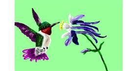 Drawing of Hummingbird by Mia