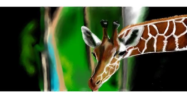 Drawing of Giraffe by Chaching