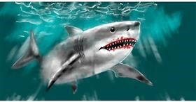 Drawing of Shark by Eclat de Lune