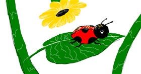 Drawing of Ladybug by Laynie.Wuz.Here