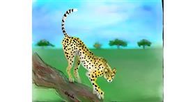 Drawing of Cheetah by Kai 🐾