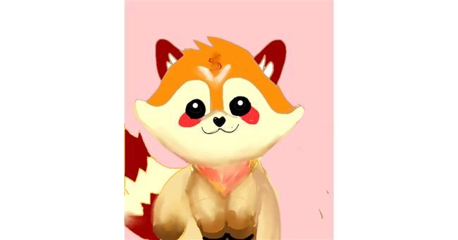 Crvena panda - autor: §TMJ