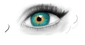 Drawing of Eyes by Sara