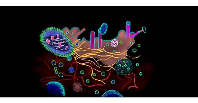 Drawing of Bacteria by Chaching