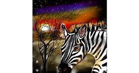 Drawing of Zebra by Leah