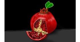 Drawing of Pomegranate by Aminich