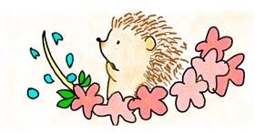 Drawing of Hedgehog by Miku