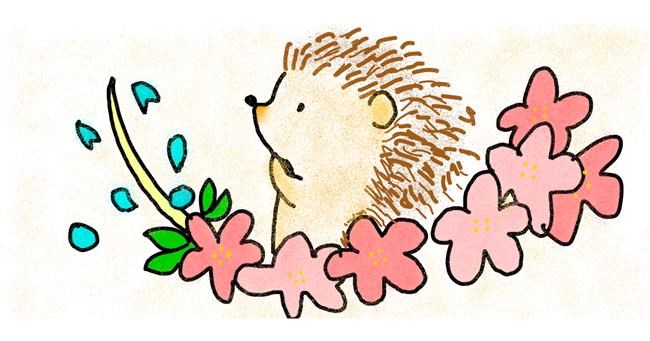 Drawing of Hedgehog by Miku
