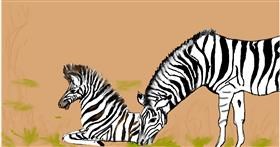 Zebra - autor: Maggy