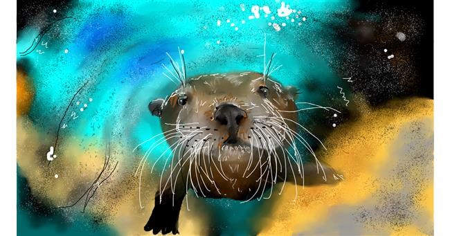 Drawing of Seal by Mandy Boggs