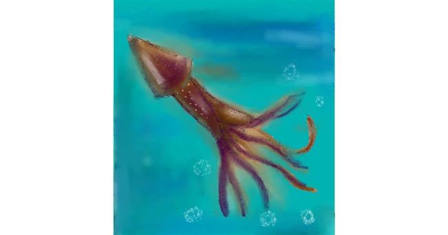 Drawing of Squid by Aami