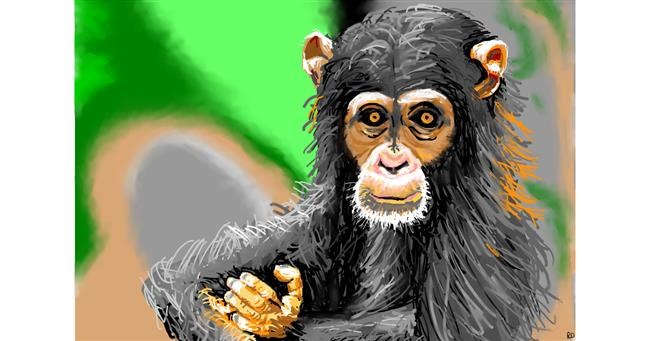 Drawing of Monkey by flowerpot