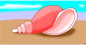 Drawing of Seashell by Swimmer 