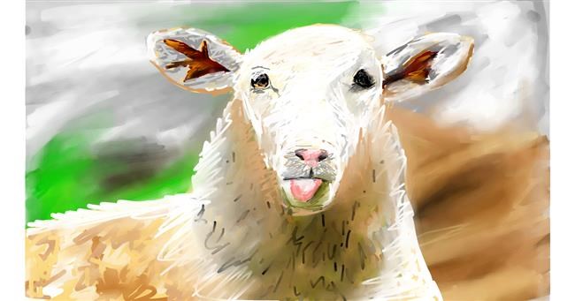 Drawing of Sheep by Mia