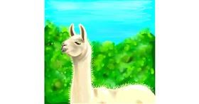 Drawing of Llama by Andromeda