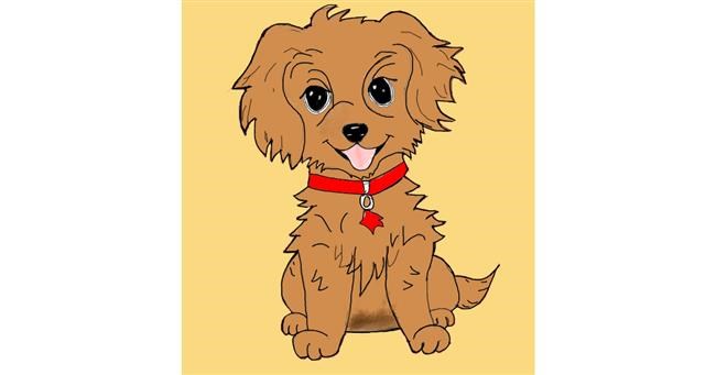 Drawing of Dog by Gul