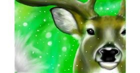 Drawing of Reindeer by Wizard