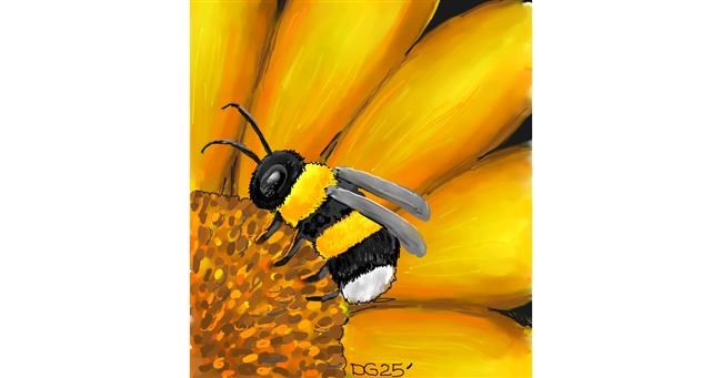 Suncokret - autor: GreyhoundMama