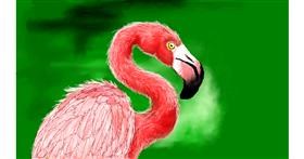 Flamingo - autor: DaVinky