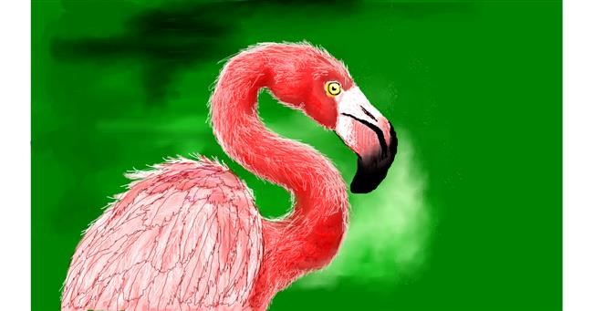 Flamingo - autor: DaVinky