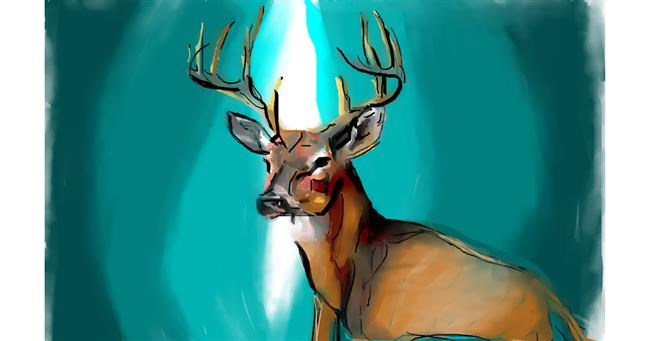 Drawing of Reindeer by Herbert