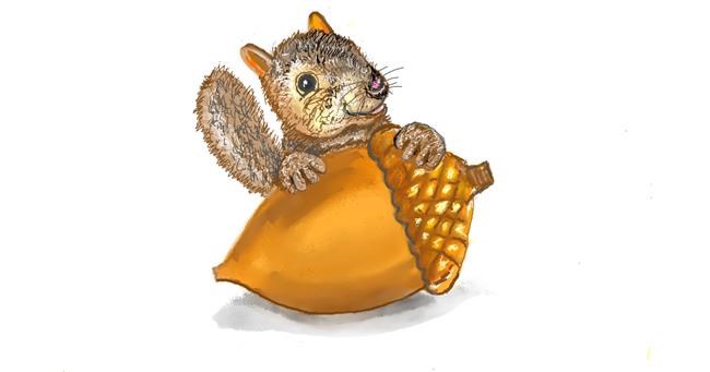 Drawing of Acorn by GJP