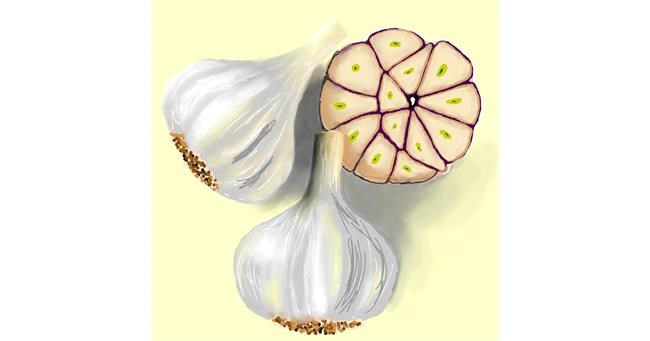 Češnjak - autor: Joze