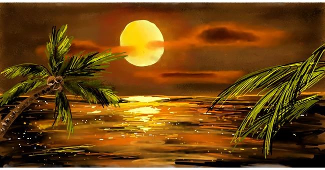 Palma - autor: Eclat de Lune