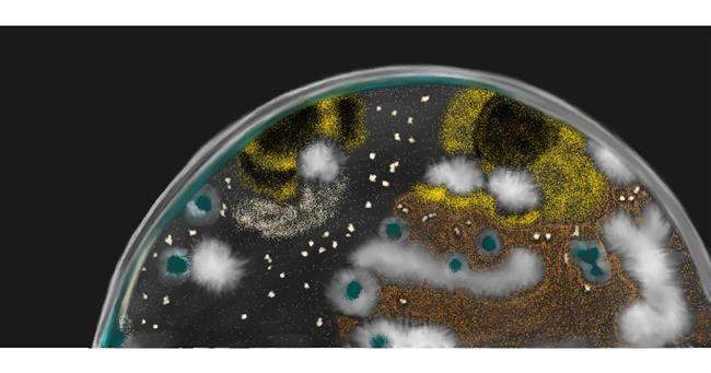 Drawing of Bacteria by Chaching