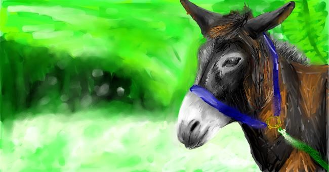 Drawing of Donkey by Mia