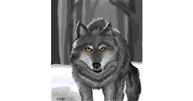 Vuk - autor: GreyhoundMama