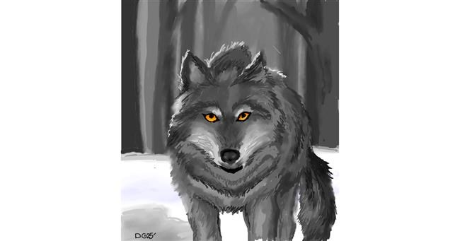 Vuk - autor: GreyhoundMama