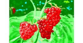 Drawing of Raspberry by flowerpot