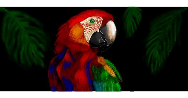 Drawing of Parrot by Annie