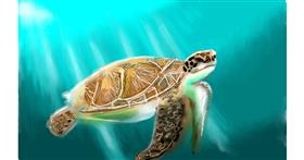 Drawing of Sea turtle by Sylv