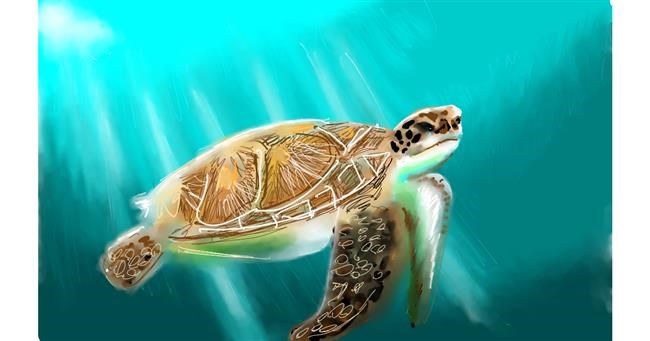 Drawing of Sea turtle by Sylv
